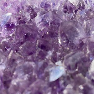 Meet your Posher, Owen